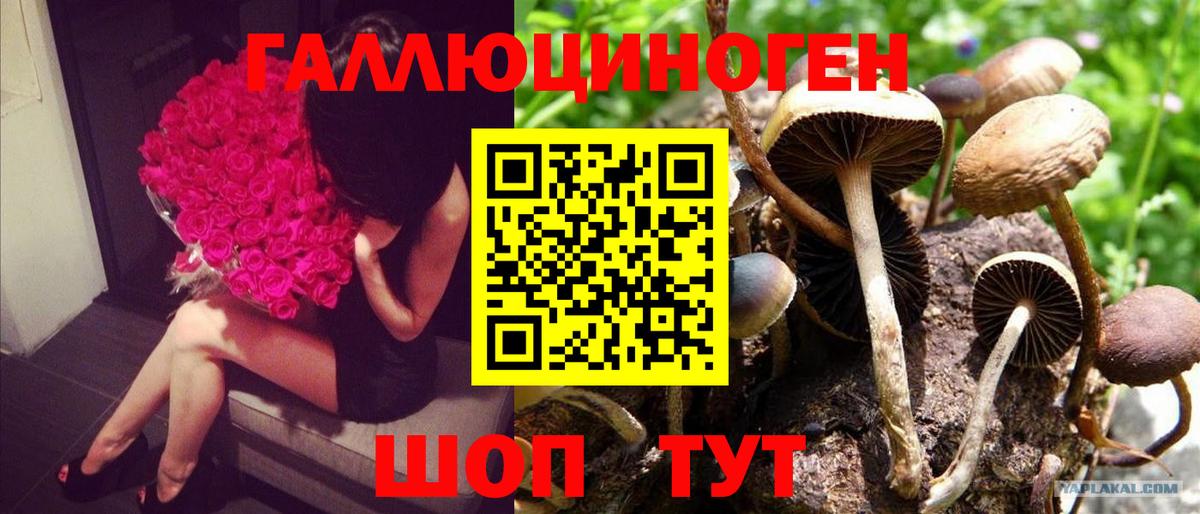 Улан-Удэ  Галлюциногенные грибы GOLDEN TEACHER  купить закладку  Вход с VPN 
